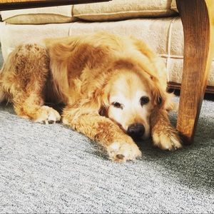 Meet your Posher, Mary